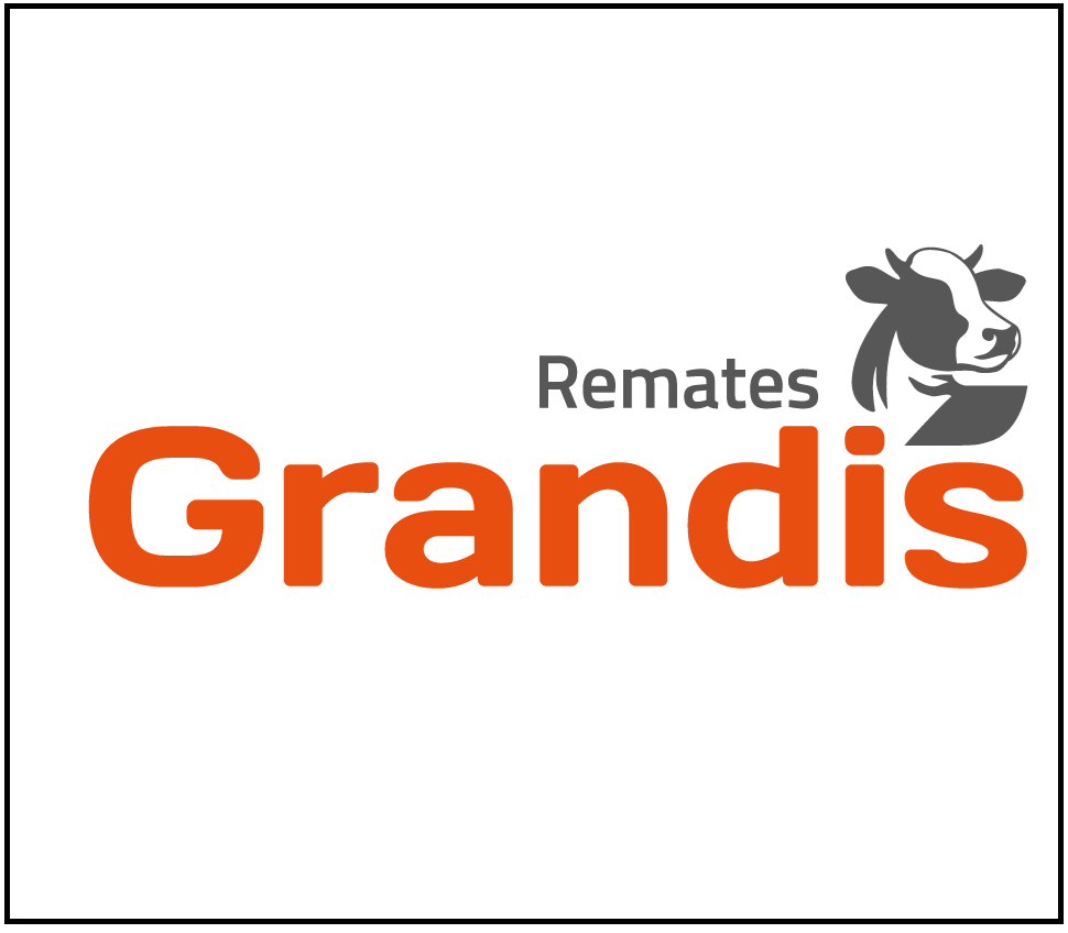 Publicidad grandis